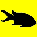 Poissons