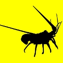 Crustacés