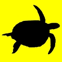 Tortues