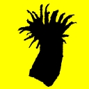 Cnidaires
